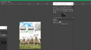 gimp there is no selection to move