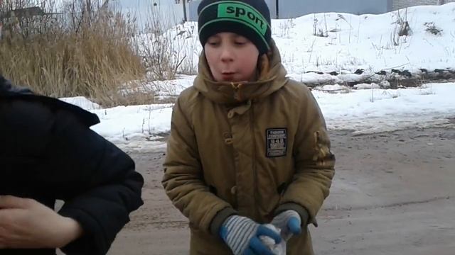 Едим кошачий корм смотреть онлайн