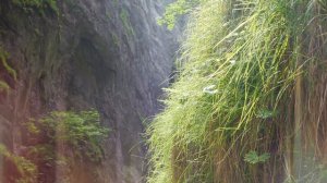 Швейцария. Ущелье Ааре. Рейхенбахский водопад.(Meiringen)