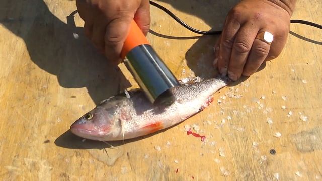 Рыбочистка электрическая? Китайская смотреть онлайн