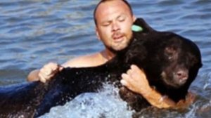 Мужчина Спас Тонущего МЕДВЕДЯ: То, что Произошло Дальше, Шокировало Весь МИР!