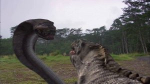 Komodo vs Cobra 2005 PROPER 1080p WEBRip x264 RARBG