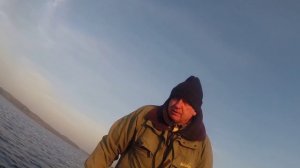сом на квок в озере, подход сома на квок эхолоте, ловля сома