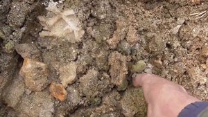 Поиск камней около копи Сибирячка. Липовка.