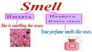 Урок 176. Употребление глаголов smell и taste. В чем особенность этих глаголов?
