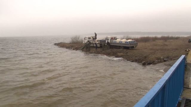 Зарыбление Краснослободского водохранилища