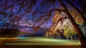 Стрекот сверчков ночью для глубокого сна и релаксации ? Звуки природы | Релакс