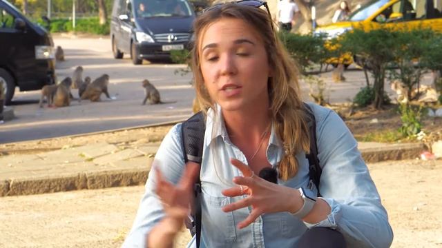 Kam Shan Monkey Mountain - #AnturusHongKong смотреть онлайн