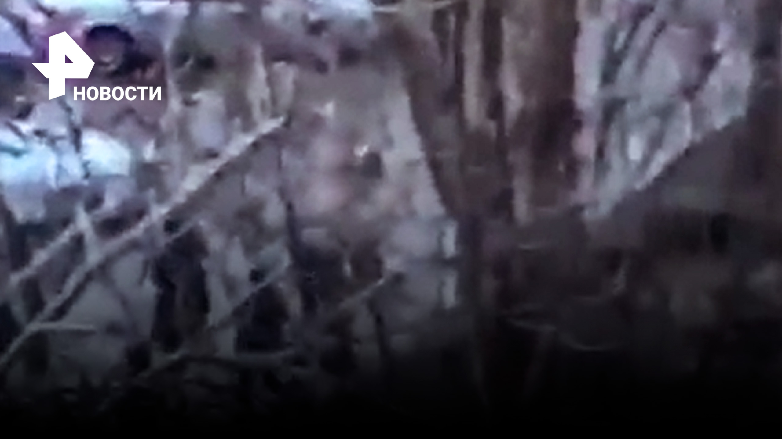 Вооруженный дробовиком мужчина открыл стрельбу в Махачкале - первые кадры с места / РЕН Новости