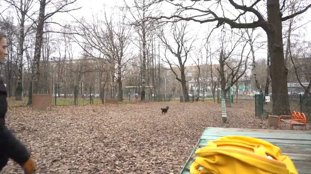 Синдром отложенной жизни: как взять жизнь в свои руки и перестать откладывать дела смотреть онлайн