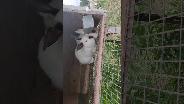 Как должен вести себя настоящий мужчина смотреть онлайн