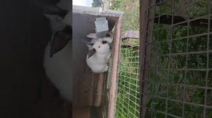 Как должен вести себя настоящий мужчина