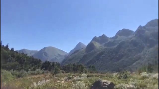 Северо-Кавказский заповедник. лето 2020г. смотреть онлайн