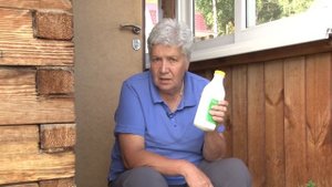 Голова садовая - Лечение томатов молочной сывороткой