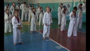 Аттестация по тхэквондо на желтые - зеленые пояса