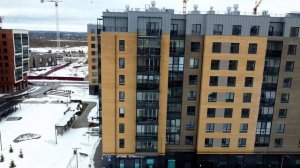 Новоселье, обзор города и ЖК НьюПитер, Полис Новоселье, Таллинский парк, Уютный, Дуэт и ЛесАрт.