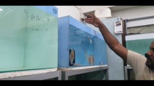 Unboxing 1000 IP Discus Fish With Anil D'souza at AquaDiskus