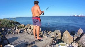 Финский залив. Ловим подлещика  на фидер.