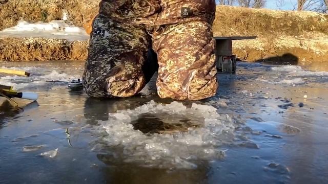 Платная рыбалка, пруд Чёрные камни 19.11.20г. Уловы рыбаков. смотреть онлайн