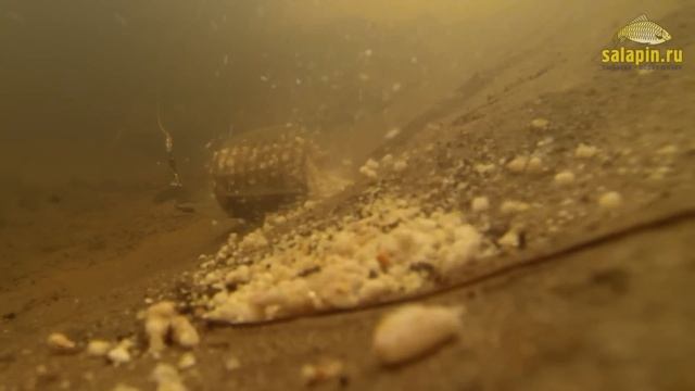 "Салапинская каша" под водой на сильном течении [salapinru] смотреть онлайн