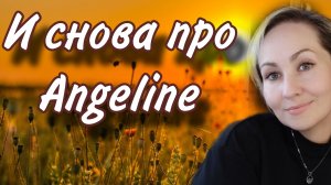 Новинки ANGELINE💙Честно про ароматы 🩵Лотки, розы, шафран