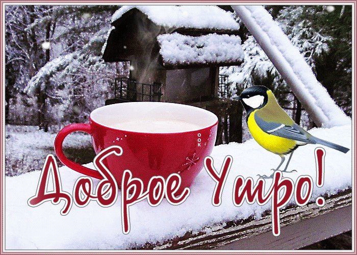С добрым утречком, хорошего денечка! Хочется пожелать чудесной погоды