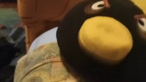 Короче говоря angry birds в реальной жизни