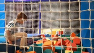 Прогулка , развлечения .