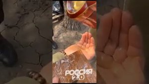 Мироточение иконы на Донбассе 2023