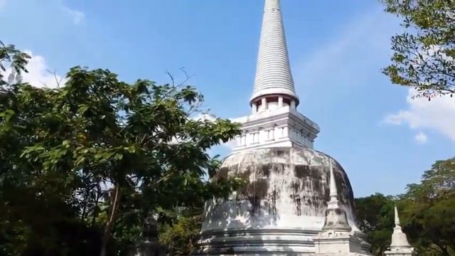 Змея попала в сети смотреть онлайн