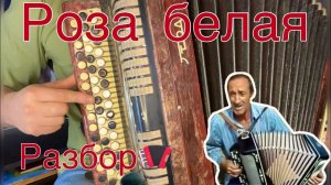 Красивая песня "РОЗА БЕЛАЯ" Учимся играть на баяне (РАЗБОР)