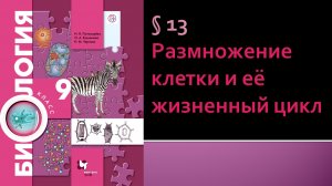 Параграф 13. Размножение клетки и её жизненный цикл