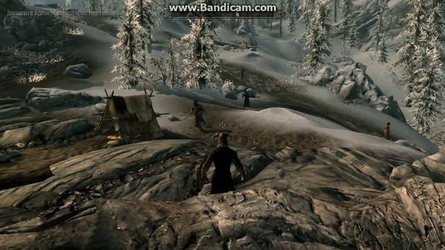 Animation Problem in Skyrim смотреть онлайн