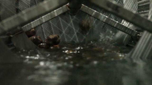 Моечная машина для овощей АМ2000 FD