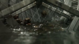 Моечная машина для овощей АМ2000 FD