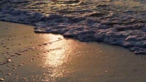 Пегий пес, бегущий краем моря