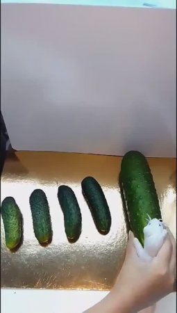 Мышуня Толстуня: "А это - мой размерчик!"