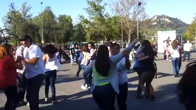 1er Flashmob Bachata Santiago 2015 смотреть онлайн