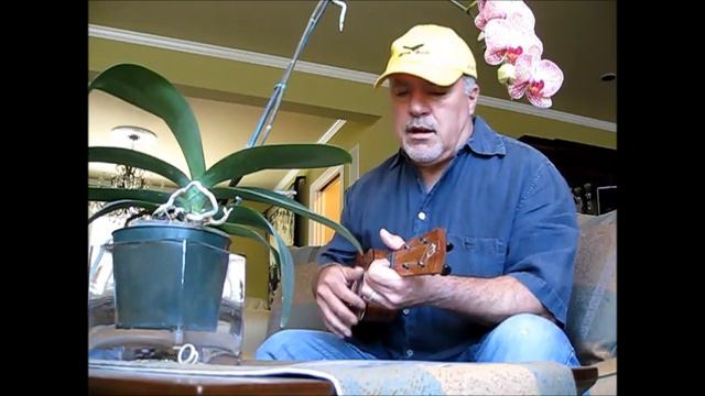 Help Me Make It Through the Night - Rene Sevieri (cover) смотреть онлайн