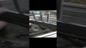 клетка для теленка