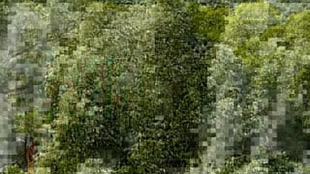 КОРА БЕЛОЙ ИВЫ ЦЕЛЕБНЫЕ СВОЙСТВА И РАЗЖИЖЕНИЕ КРОВИ смотреть онлайн