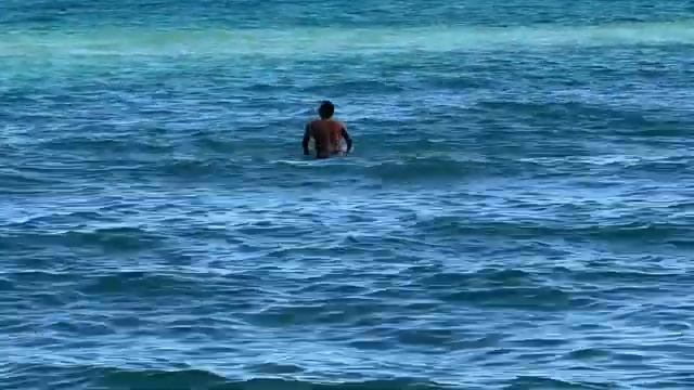 Из Хьюстона в Майами на автомобиле. Велопрогулка по #miamibeach