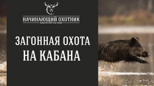 ЗАГОННАЯ ОХОТА НА КАБАНА