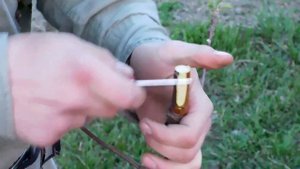 Как вырастить яблоню ДЕРЕВО-САД. Прививка "вприклад с язычком"