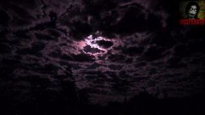 Истории на ночь - Детский лагерь "Камышинка"