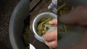 долго искала и нашла. Бочковые огурцы. ведро с гнётом для засолки нашла на озоне