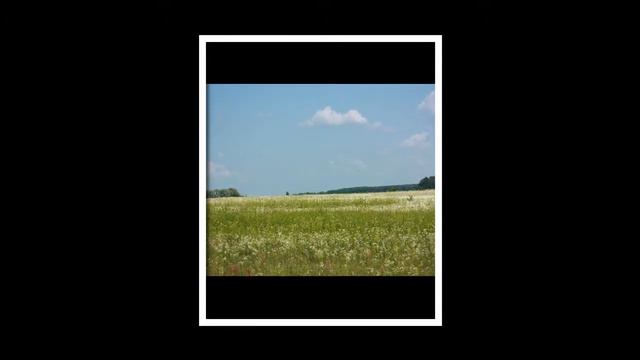 Деревенские каникулы смотреть онлайн