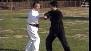 adam hsu chen tai chi chuan usage part II