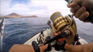 Hobie kayak honda gx 35 motor fishing