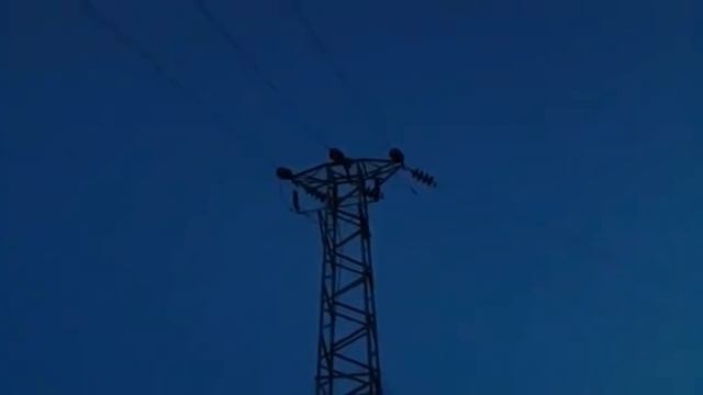 Короткое замыкание на ВЛ 35кВ⚡️